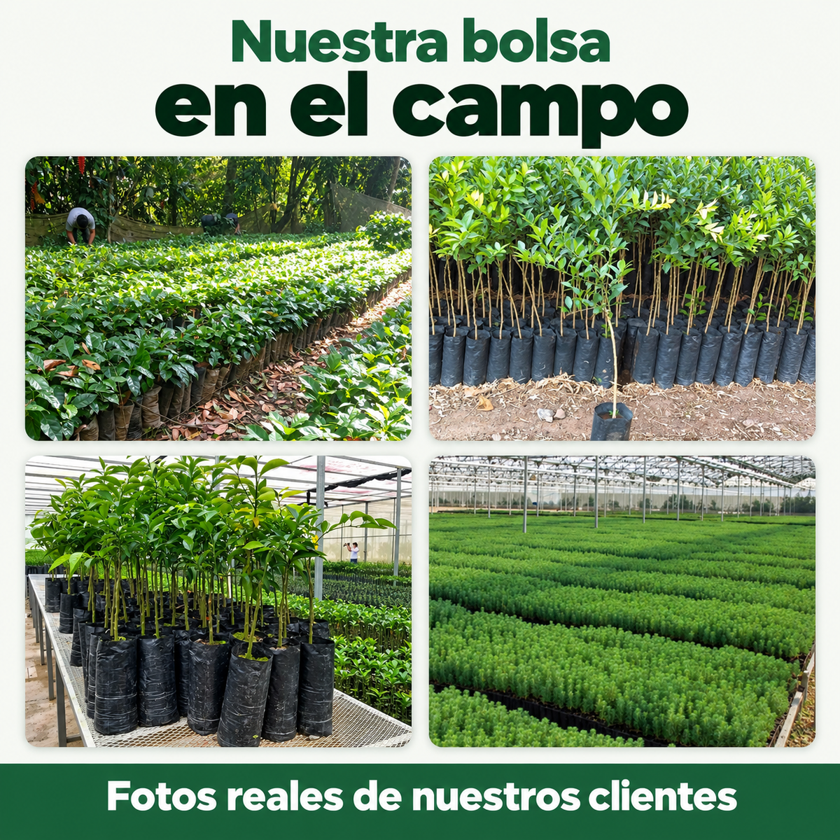 Bolsa Negra para Vivero, Resistente y a tu Medida