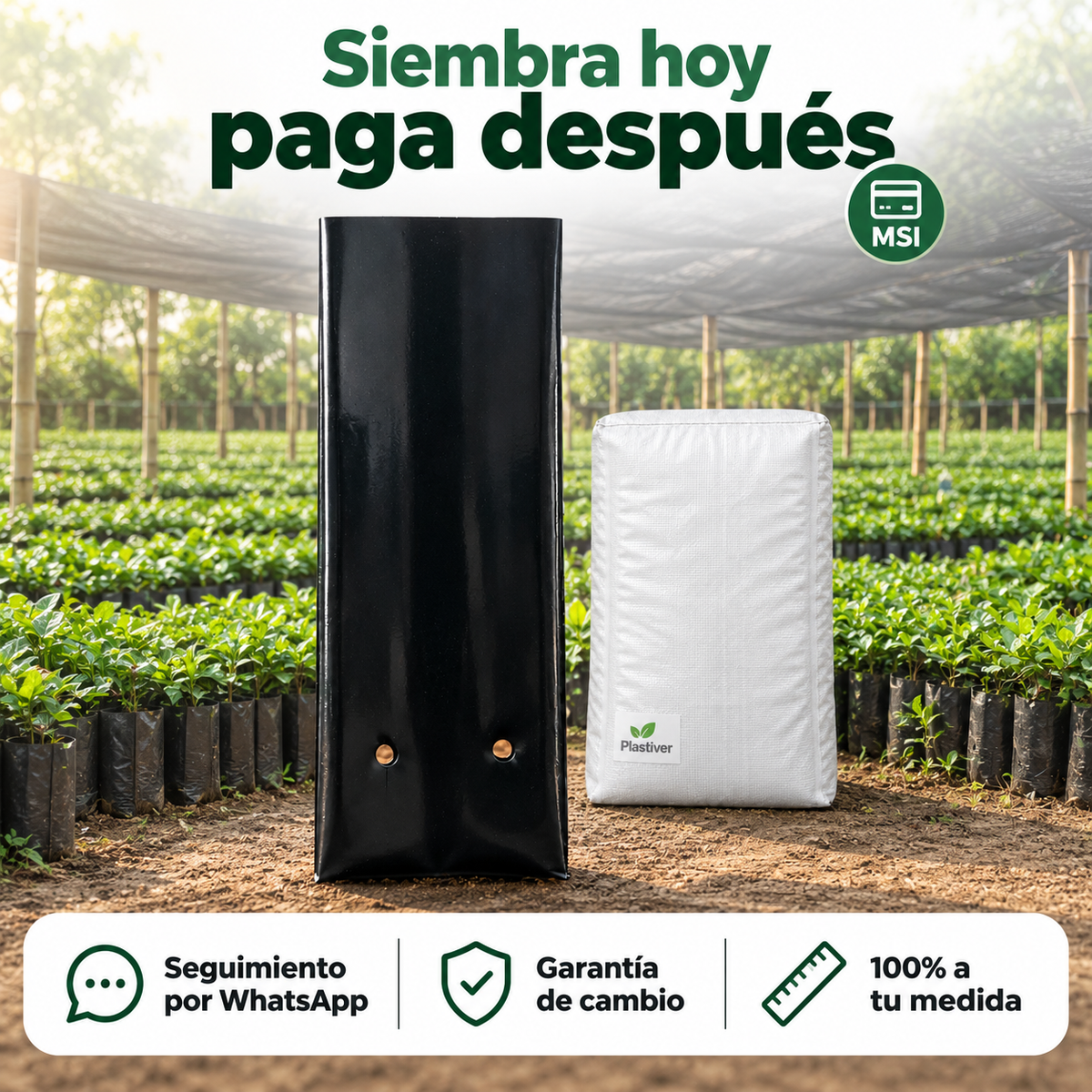 Bolsa Negra para Vivero, Resistente y a tu Medida